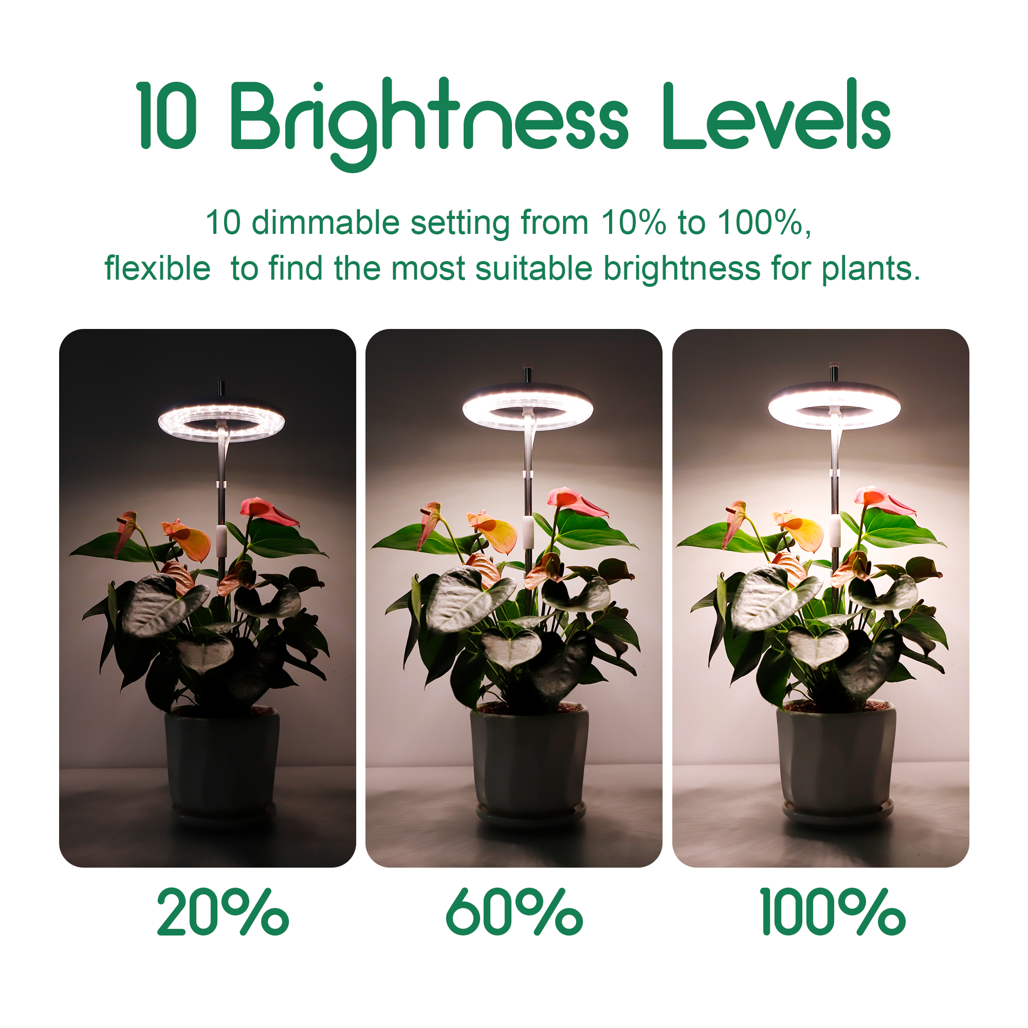 2 Packs, Grow Lights For Indoor Plants, LED Full Spectrum Plant Light For  Indoor Plants, Height Adjustable Grow Light With 4 Dimmable Brightness, 2/4