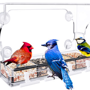 Ebern Designs Aunika Window Bird Feeder & Reviews